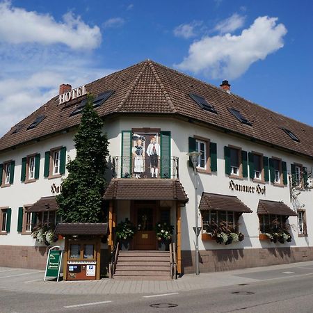 Hotel Hanauerhof アッペンヴァイラー エクステリア 写真